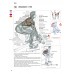 POSILOVÁNÍ • Anatomický průvodce - !!! Poslední 2 kusy !!!